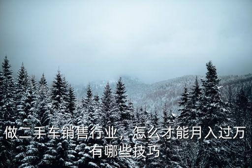 東莞做二手車銷售怎么樣,做二手車銷售行業(yè)