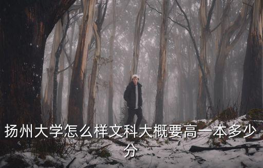 揚(yáng)州大學(xué)一年多少專利,揚(yáng)州大學(xué)怎么樣