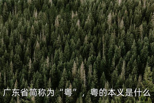 廣東省的簡稱怎么讀拼音,廣東省簡稱為粵