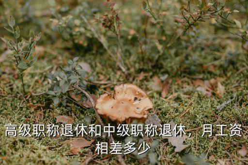 高級(jí)職稱退休和中級(jí)職稱退休，月工資相差多少