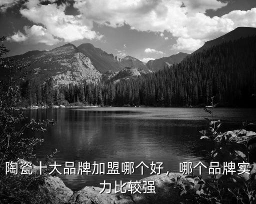 陶瓷十大品牌加盟哪個好，哪個品牌實力比較強