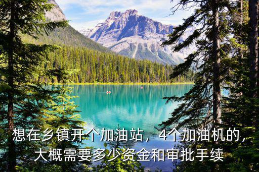 想在鄉鎮開個加油站，4個加油機的，大概需要多少資金和審批手續