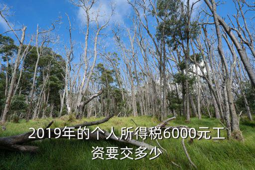 2019年的個人所得稅6000元工資要交多少