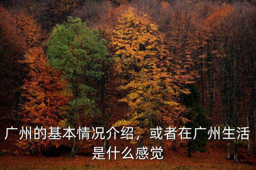 你們怎么在廣州生活的,在廣州怎么生活