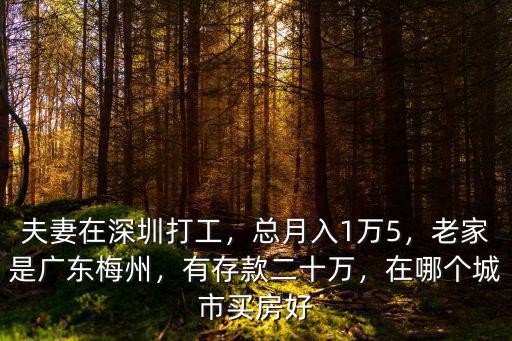 夫妻在深圳打工，總月入1萬5，老家是廣東梅州，有存款二十萬，在哪個城市買房好