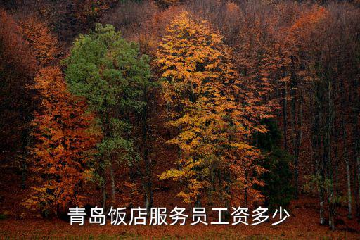 青島的服務(wù)員工資一般多少,青島飯店服務(wù)員工資多少