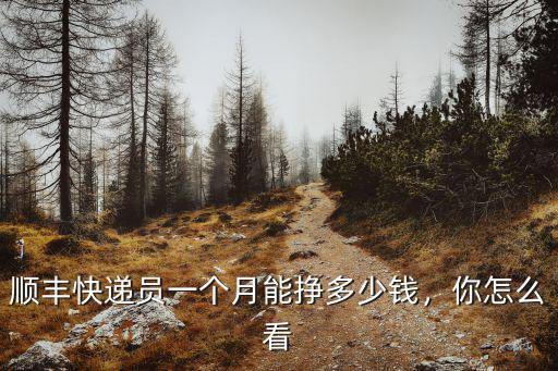 快遞員在南京多少錢一個月,順豐快遞員一個月能掙多少錢