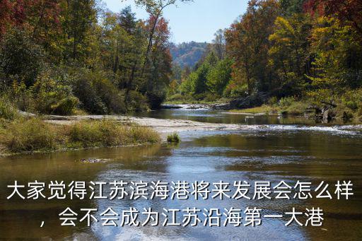 大家覺得江蘇濱海港將來發展會怎么樣，會不會成為江蘇沿海第一大港