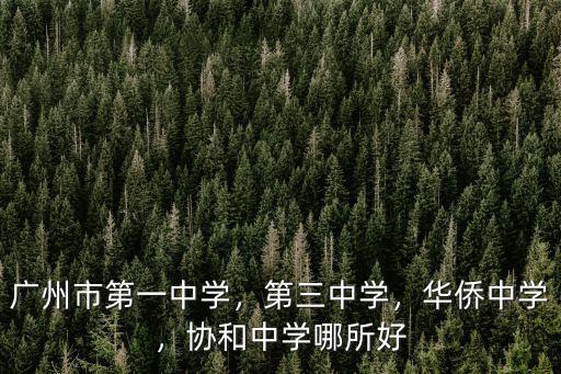 廣州第一中學黃沙怎么樣,廣州市第一中學