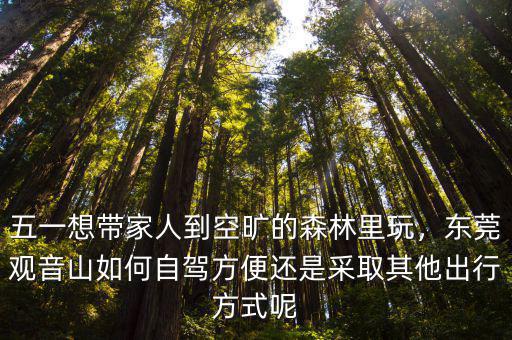 東莞五一哪里堵車,五一假期去廣東哪里玩