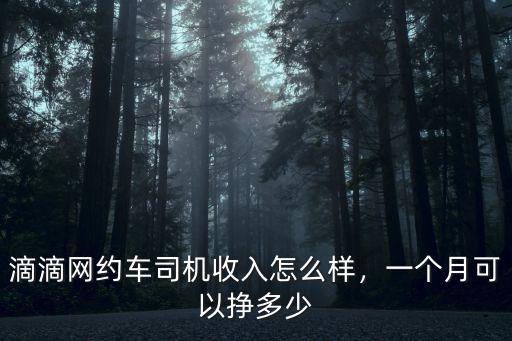 滴滴網約車司機收入怎么樣，一個月可以掙多少