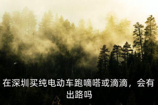 在深圳買純電動車跑嘀嗒或滴滴，會有出路嗎