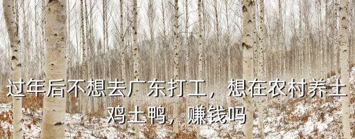過年后不想去廣東打工，想在農(nóng)村養(yǎng)土雞土鴨，賺錢嗎