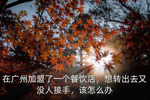 在廣州花都藥店轉讓怎么接手,我想接手一家轉讓的藥店