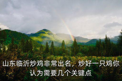 山東臨沂炒雞非常出名，炒好一只雞你認為需要幾個關鍵點