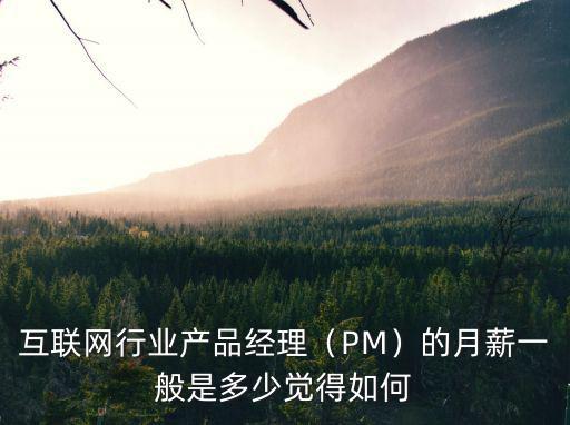 互聯網行業產品經理（PM）的月薪一般是多少覺得如何