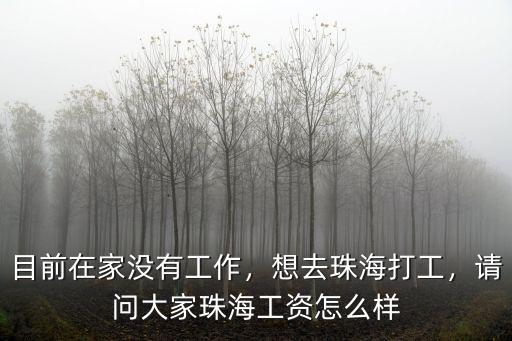 珠海弘利怎么樣,珠海發展潛力怎么樣