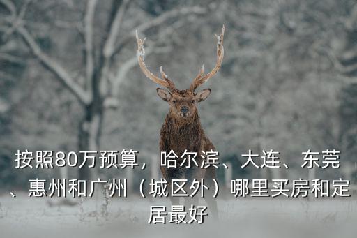 按照80萬預算，哈爾濱、大連、東莞、惠州和廣州（城區外）哪里買房和定居最好