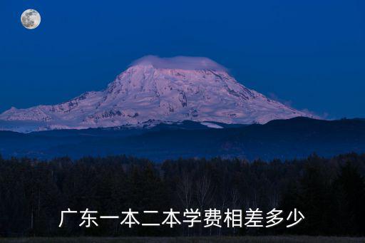 廣東二本美術(shù)專業(yè)學(xué)費多少錢,廣東一本二本學(xué)費相差多少