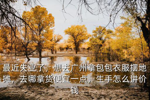 外地人去廣州怎么進貨,廣州進貨應該去哪里