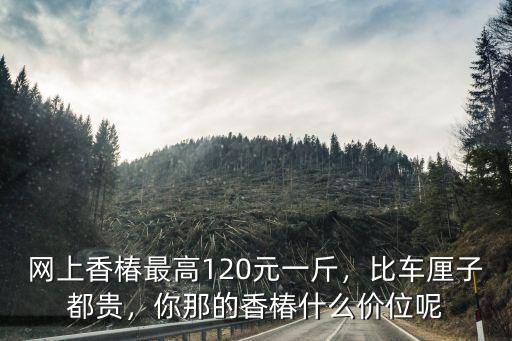 蘇州香椿多少錢一斤,網(wǎng)上香椿最高120元一斤