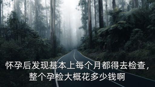 懷孕后發現基本上每個月都得去檢查，整個孕檢大概花多少錢啊
