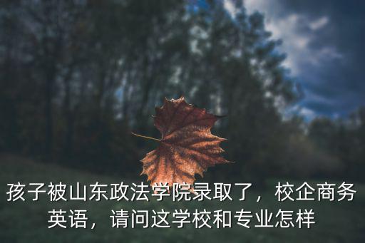 山東政法學(xué)院?？贫嗌俜咒浫?山東政法學(xué)院怎么樣