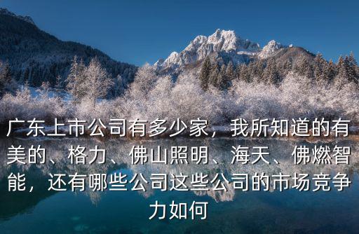 佛山有多少上市公司,廣東上市公司有多少家