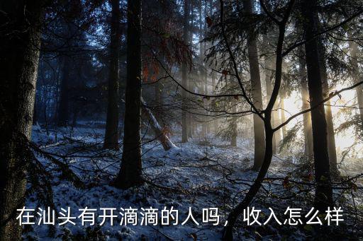 在汕頭有開滴滴的人嗎，收入怎么樣