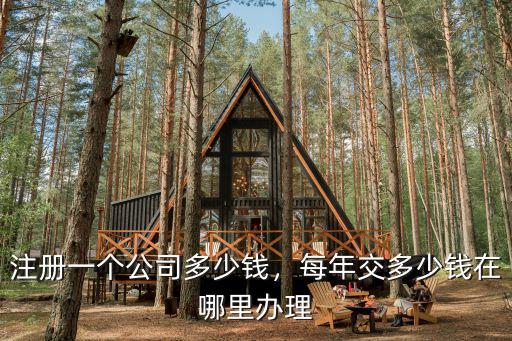 注冊一個公司多少錢，每年交多少錢在哪里辦理