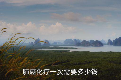 肺癌化療一次需要多少錢