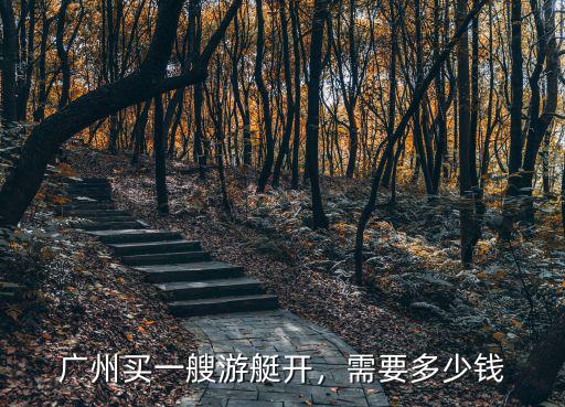 廣州買一艘游艇開，需要多少錢