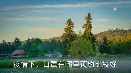 疫情下，口罩在哪里預約比較好