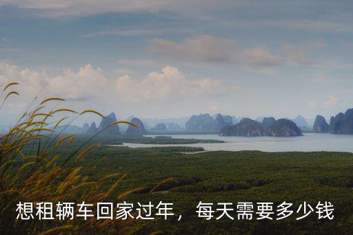 想租輛車回家過年，每天需要多少錢