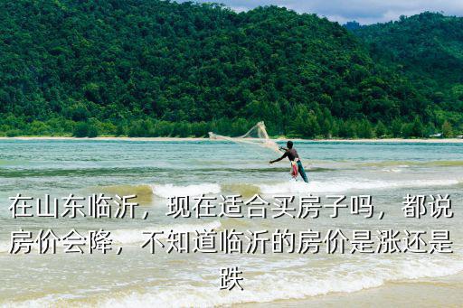 臨沂現在有多少套住房,臨沂樓房現在這個價格能買嗎