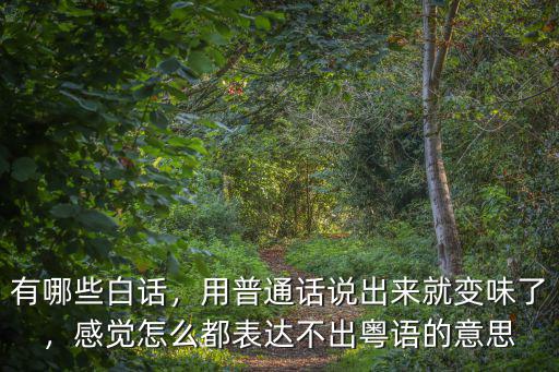 有哪些白話，用普通話說(shuō)出來(lái)就變味了，感覺(jué)怎么都表達(dá)不出粵語(yǔ)的意思