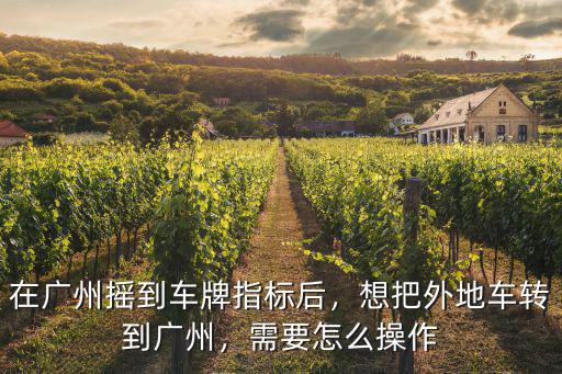 廣州網(wǎng)上搖車牌在哪里,在廣州搖到車牌指標(biāo)后
