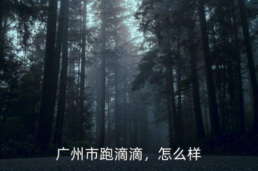 廣州市跑滴滴，怎么樣