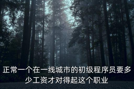 正常一個(gè)在一線城市的初級(jí)程序員要多少工資才對(duì)得起這個(gè)職業(yè)