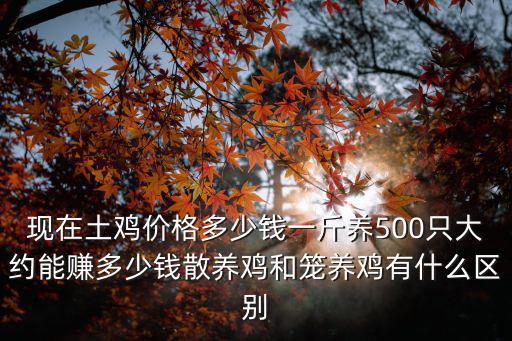 現在土雞價格多少錢一斤養500只大約能賺多少錢散養雞和籠養雞有什么區別