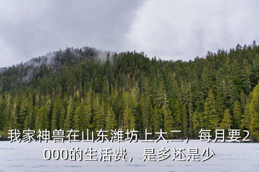 我家神獸在山東濰坊上大二，每月要2000的生活費，是多還是少
