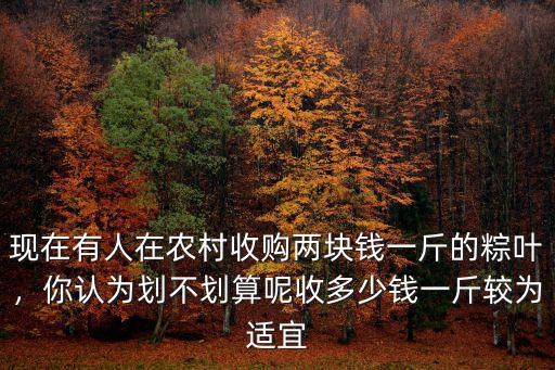 現在有人在農村收購兩塊錢一斤的粽葉，你認為劃不劃算呢收多少錢一斤較為適宜