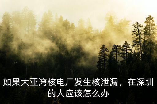 深圳大亞灣核工資待遇怎么樣,大亞灣未來發展怎么樣