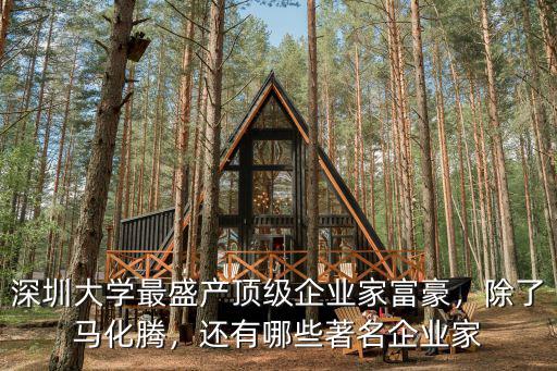 深圳大學最盛產頂級企業家富豪，除了馬化騰，還有哪些著名企業家