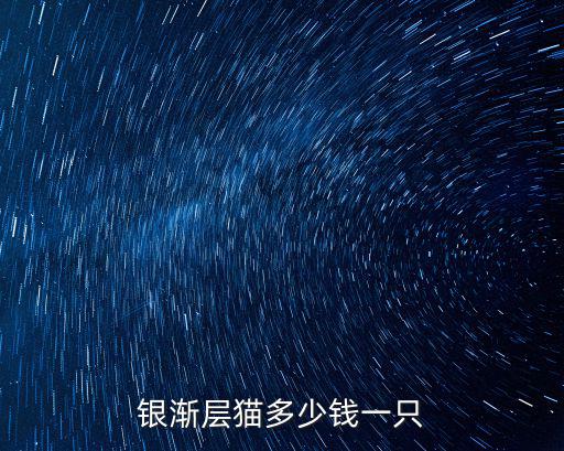 銀漸層貓多少錢一只