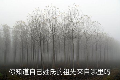 你知道自己姓氏的祖先來自哪里嗎
