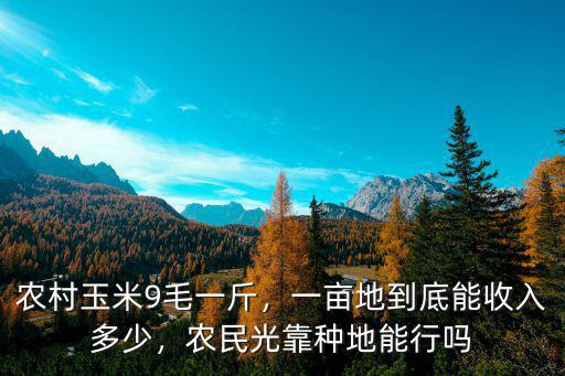 山東濰坊玉米一畝地能產(chǎn)多少斤,玉米畝產(chǎn)最高能產(chǎn)多少斤