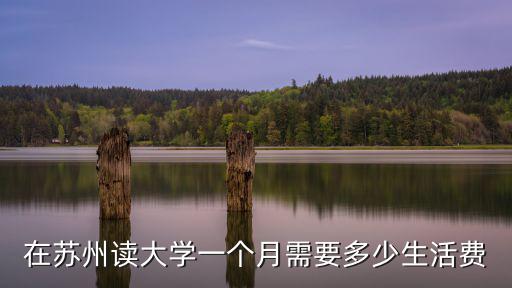 在蘇州讀大學一個月需要多少生活費
