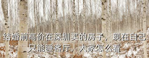 結婚前高價在深圳買的房子，現在自己只能睡客廳，大家怎么看
