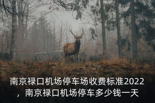 南京停車一晚多少錢,南京祿口機場停車多少錢一天